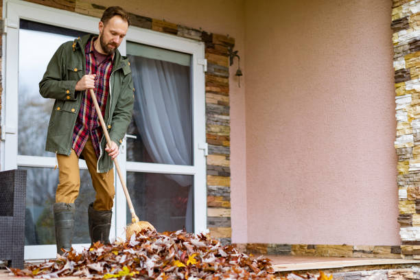 Basement Cleanout Services in Kiln, MS